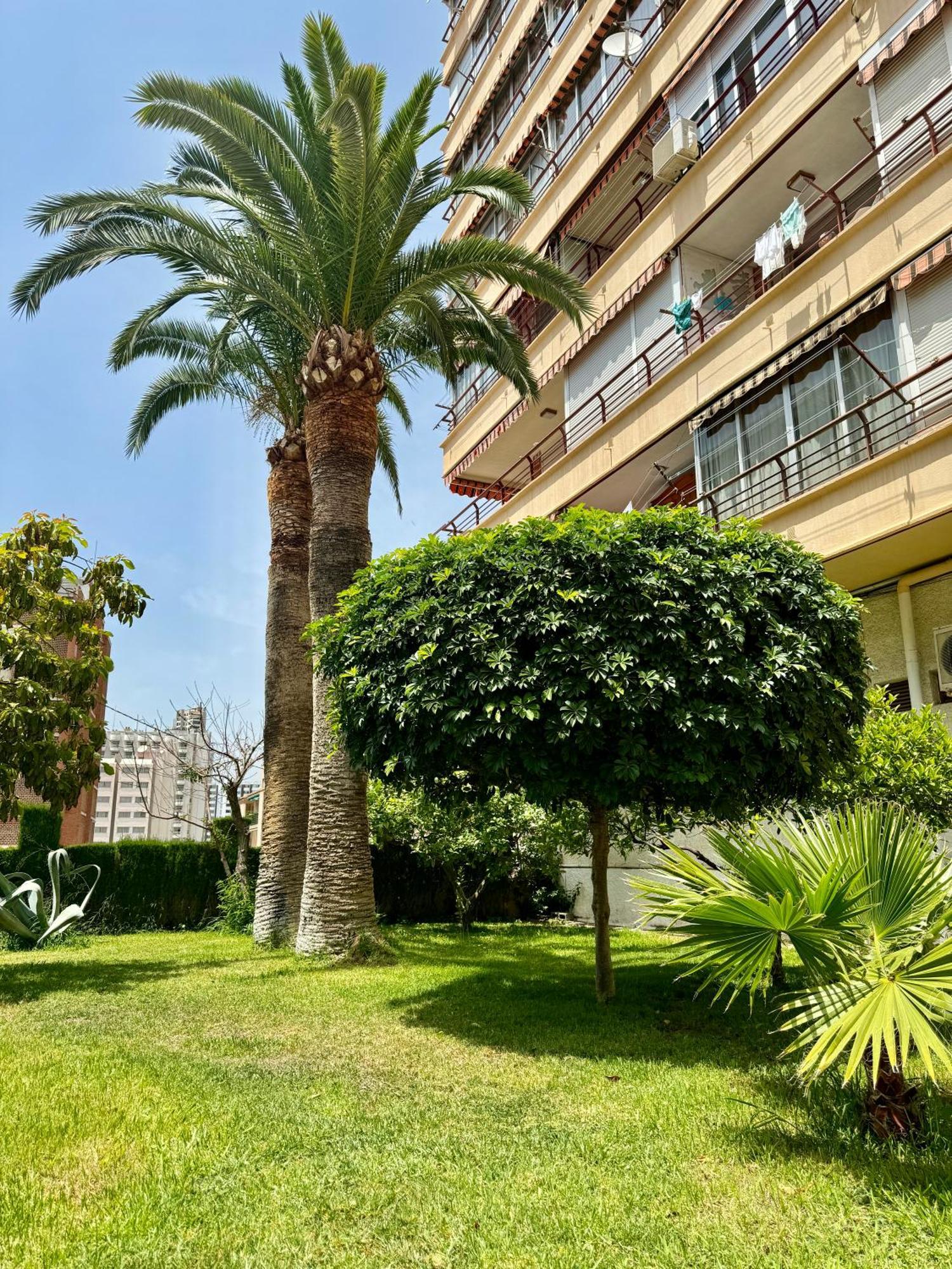 Apartment Piscis Benidorm Zewnętrze zdjęcie